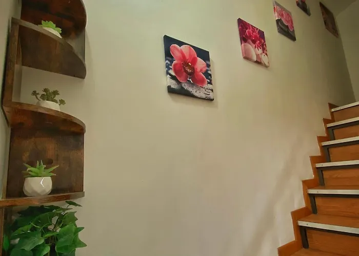 Nicehouse Catania